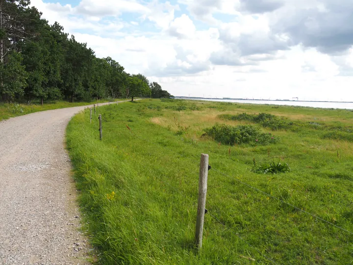 Halshuisene + Enebaerodde Beach (Denemarken)